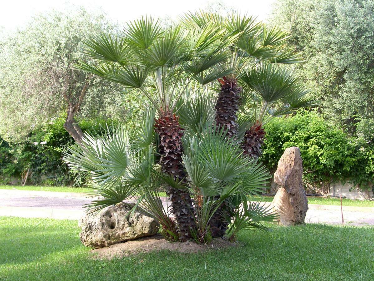 Villa Sarda Sorso Esterno foto